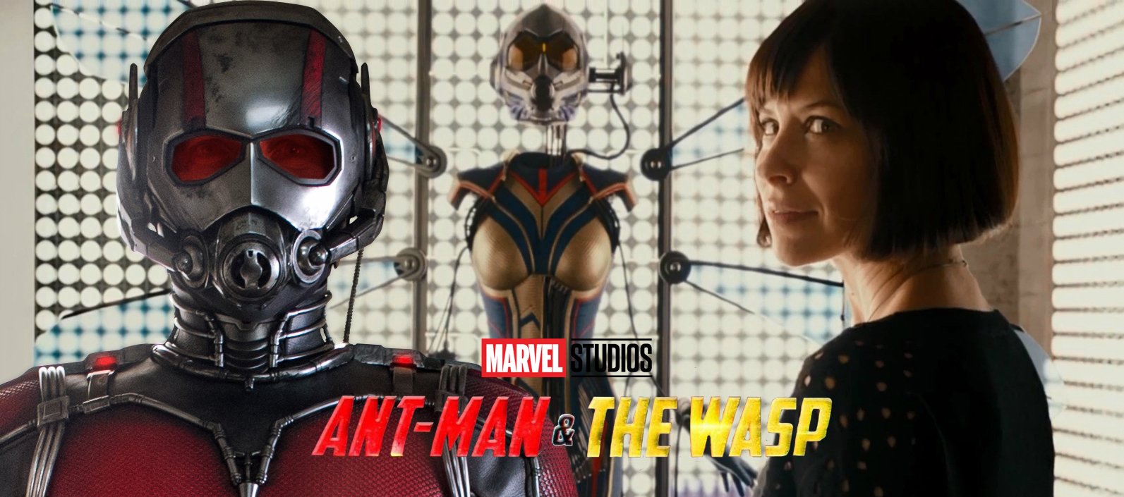 Ant man and the wasp