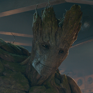 flora colossus flora colossus