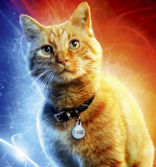 Goose textless poster 1