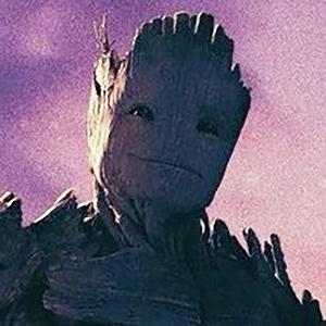 Prov groot gotgvol3 cardvignette