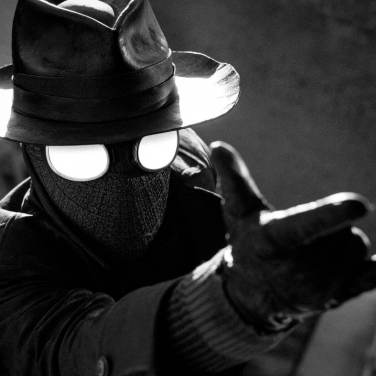 25 05 13 spidernoir premiere image
