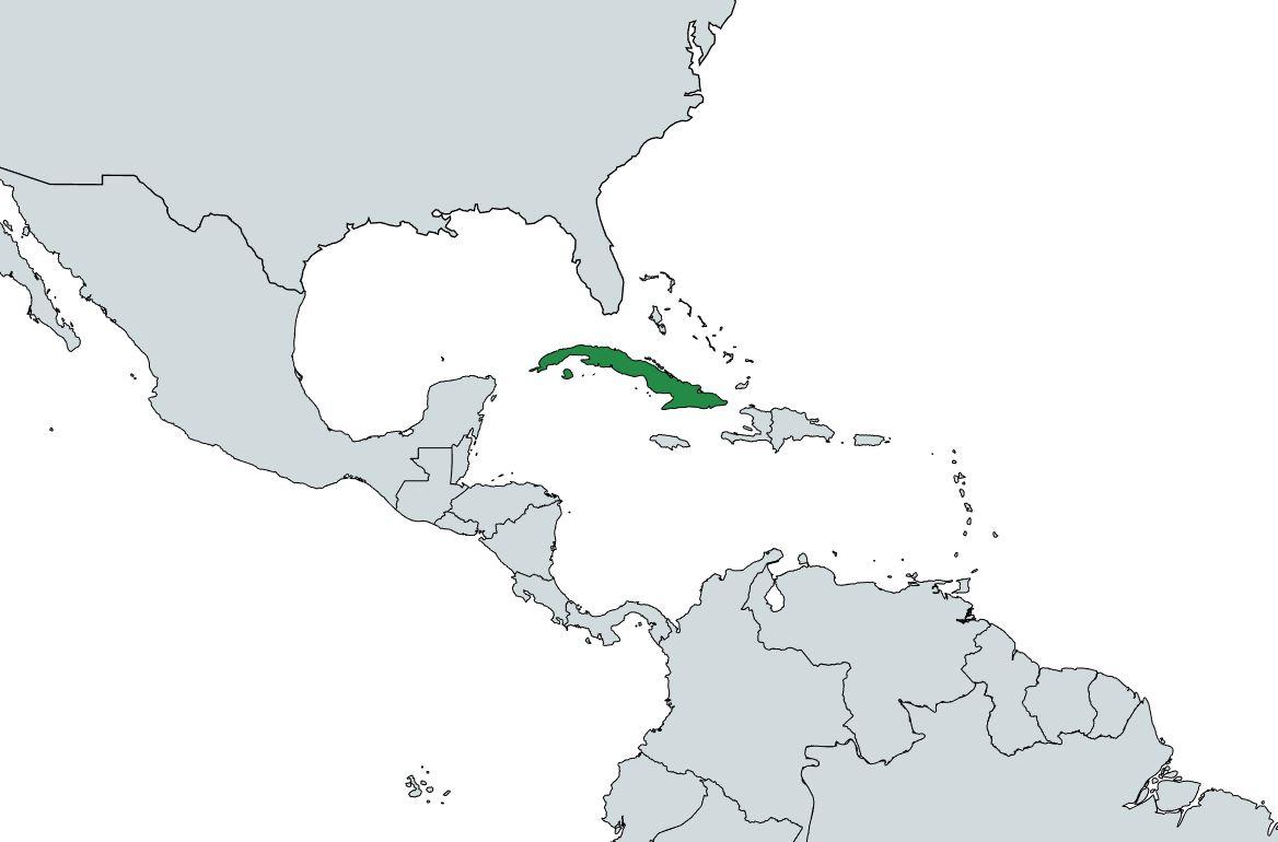 Cuba imgprofil