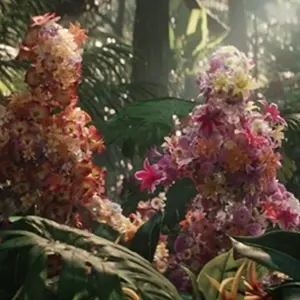 Dieux des fleurs cardvignette