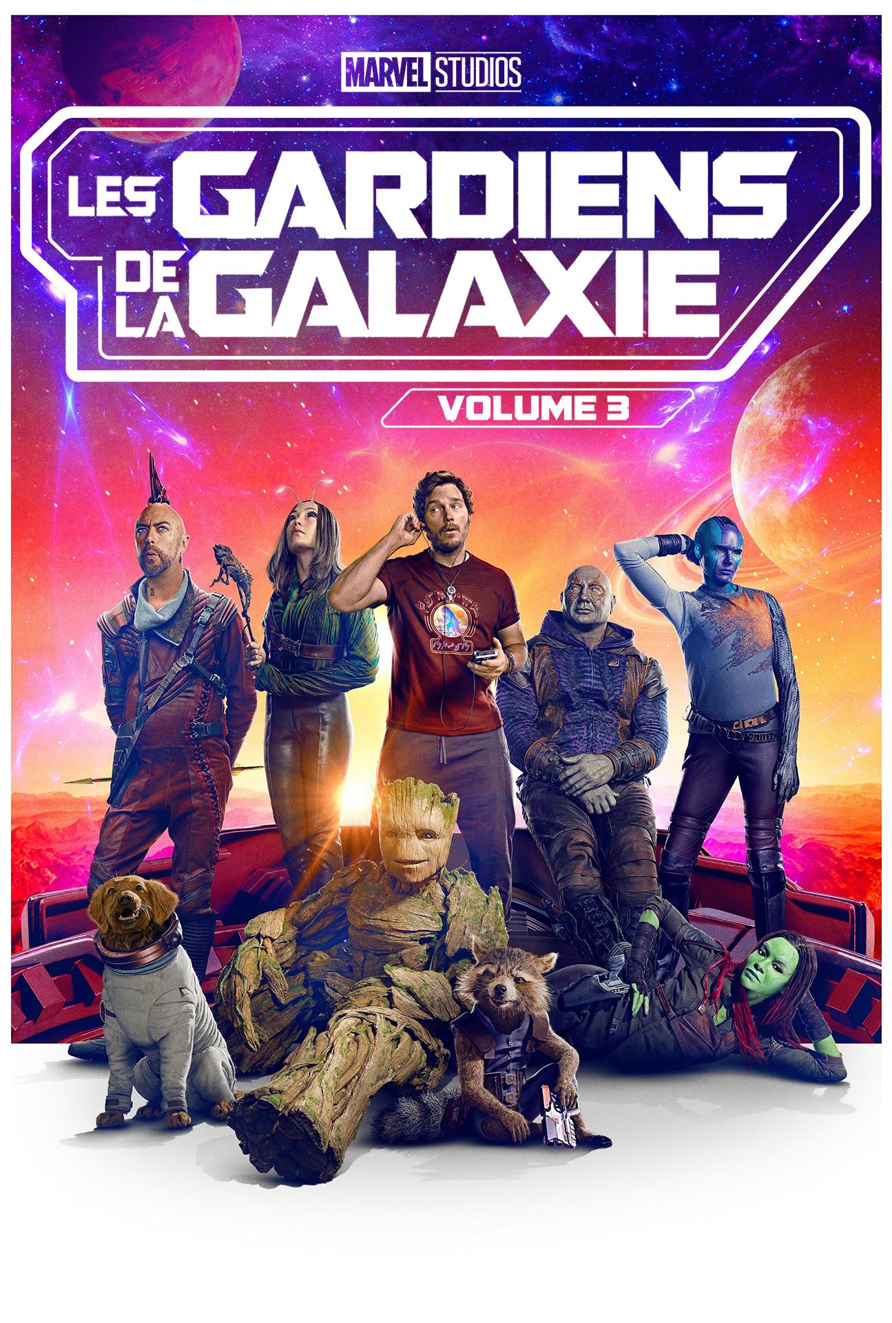 Gardiens de la galaxie vol3 v2 textless