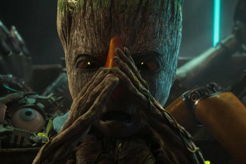 Groot202