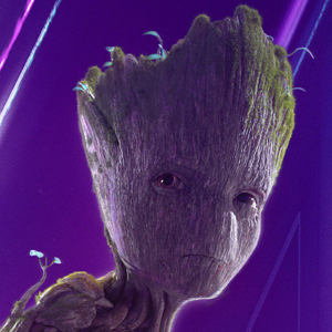 Groot A:E Vignette