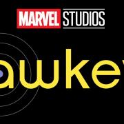 Hawkeye logo