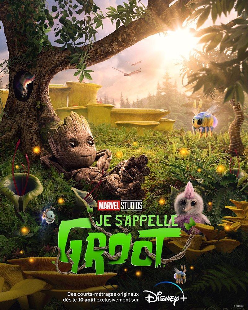 Jesappellegroot affiche2