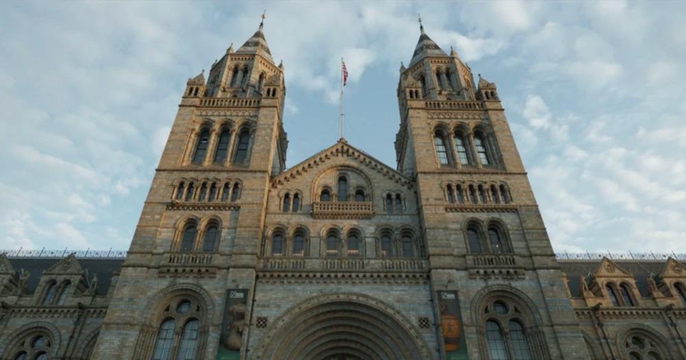 Museum d histoire naturelle imgprofil