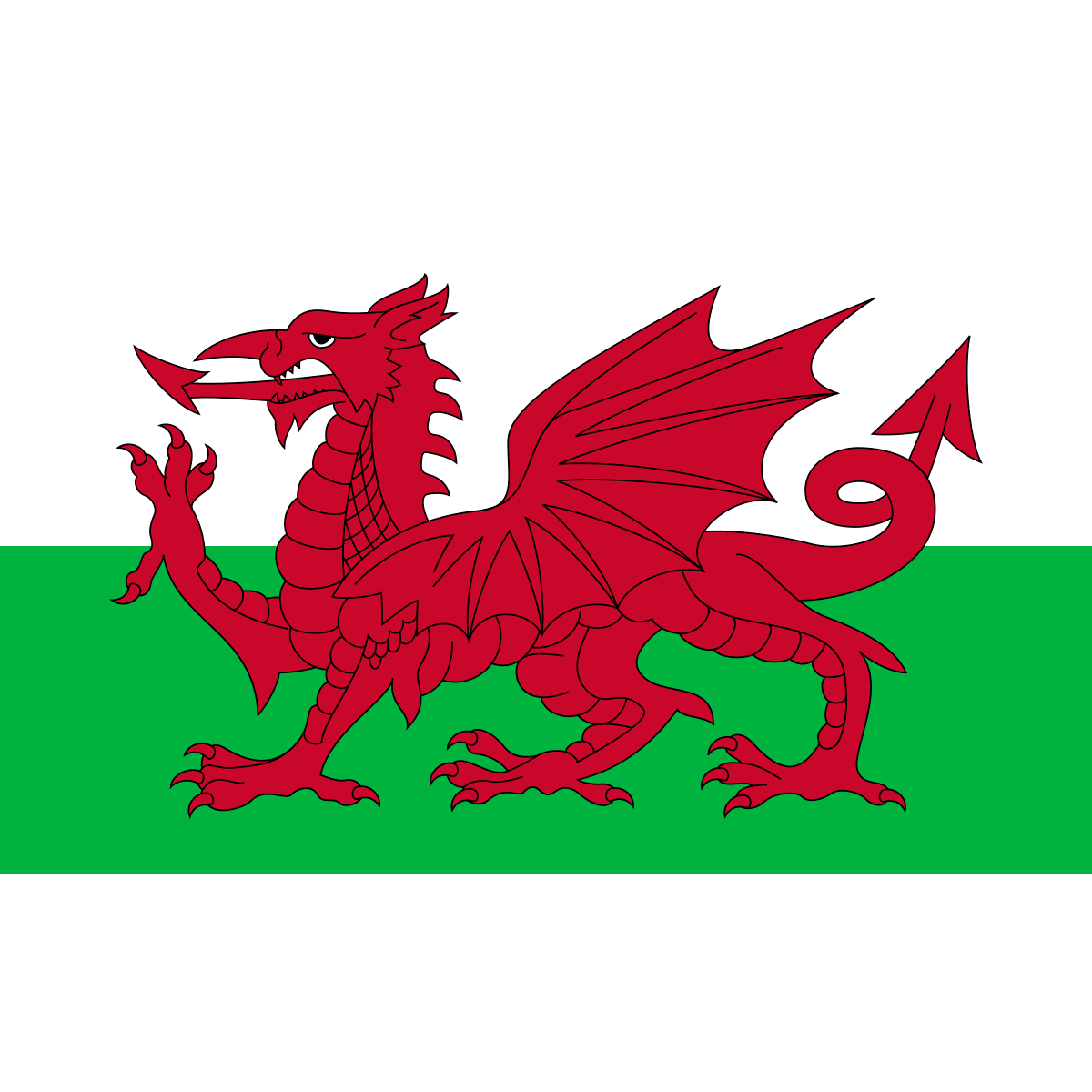 Pays de galles drapeau