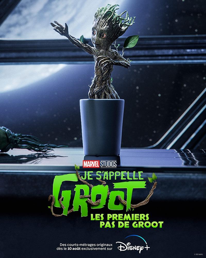 Posteriamgroot101