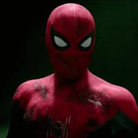 Smffh spider man sens de l araignee