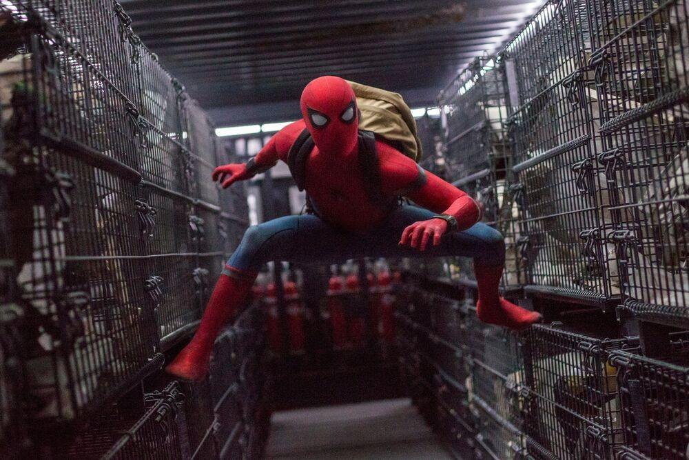 Smh spider man se prepare a reaffronter le vautour