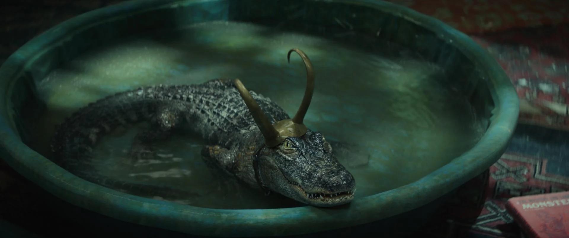 Univers du loki en forme d alligator imgprofil