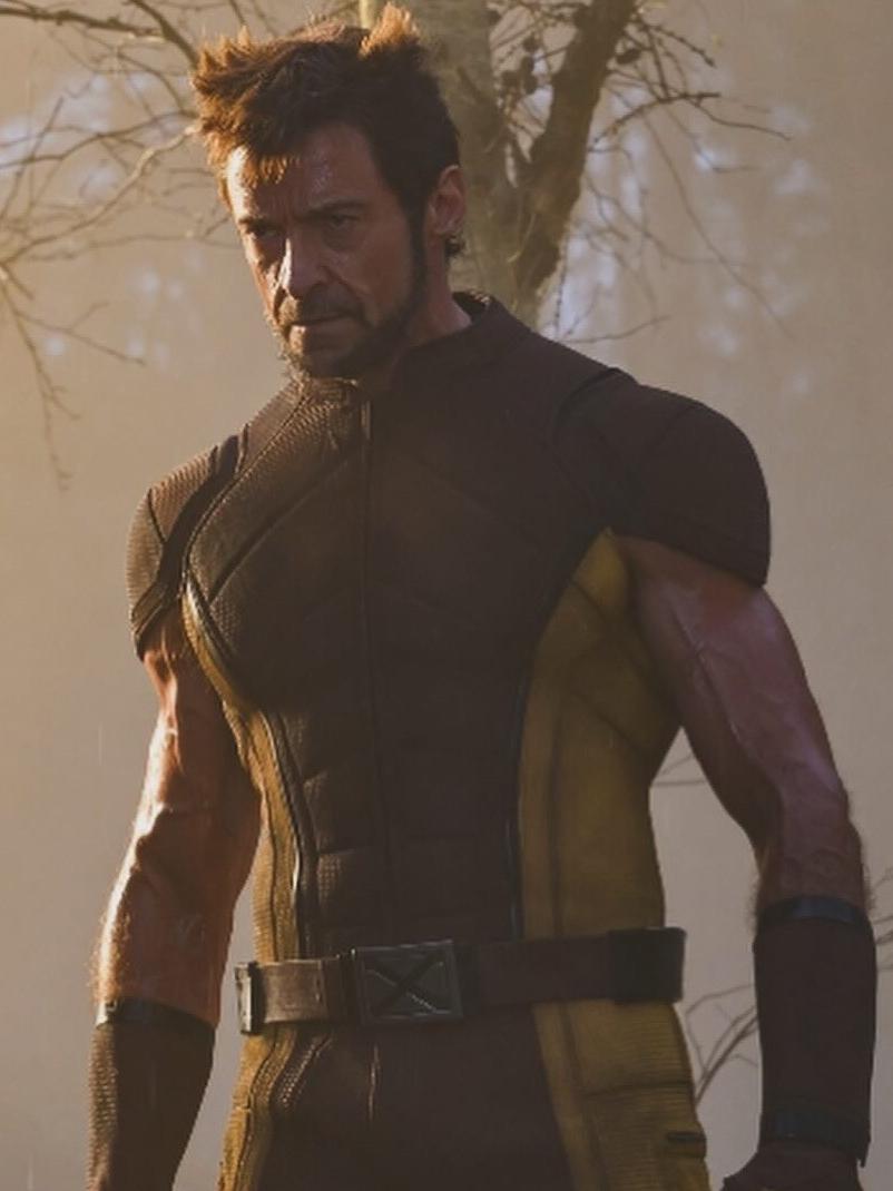 Wolverine wolverine affrontant hulk imgprofil