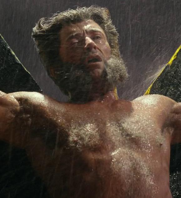 Wolverine wolverine crucifie imgprofil