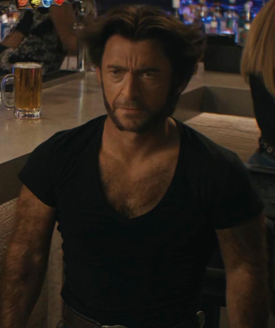 Wolverine wolverine de petite taille imgprofil